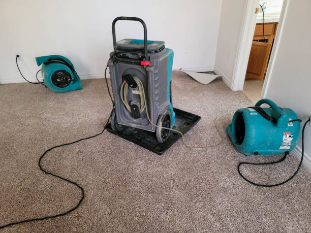 Best Fire Damage Restoration  in Wollochet, WA