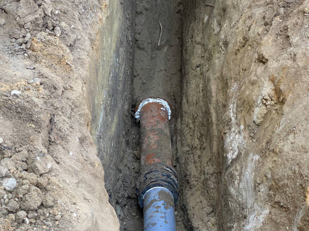 Best Flood damage cleanup  in Wollochet, WA