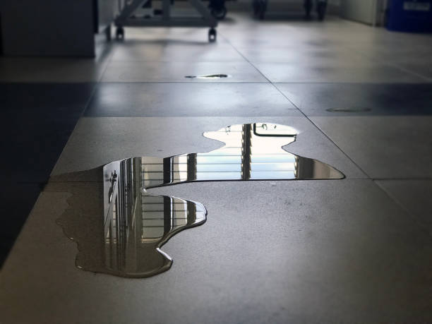 Best 24/7 water damage repair  in Wollochet, WA