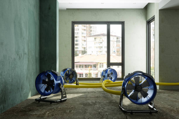 Best Basement water damage restoration  in Wollochet, WA