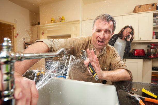 Best Mold removal after water damage  in Wollochet, WA